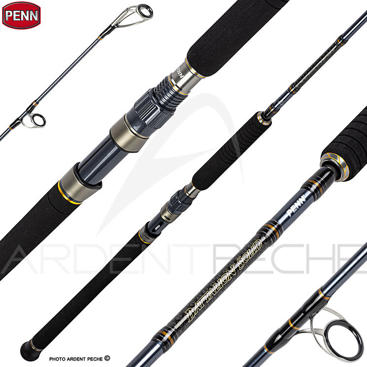 Canne spinning PENN Battalion solid offshore casting