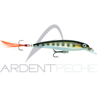 Poisson nageur RAPALA X Rap 06