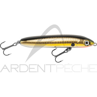 Poisson nageur RAPALA Skitter V 10