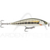 Poisson nageur RAPALA Countdown elite 95