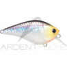Poisson nageur LUCKY CRAFT LC 1.5