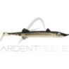 Leurre souple DELALANDE Sea pike non monté 18cm x1