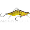 Poisson nageur SICO LURE First 53 SP