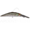 Poisson nageur SMITH D Direct 55