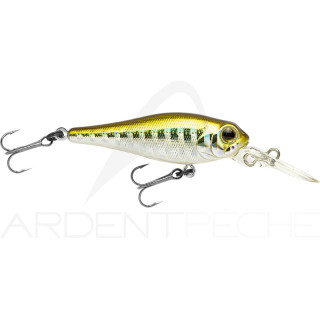 Poisson nageur SMITH Jade 43 MD SP