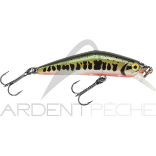 Poisson nageur SMITH D Compact 45