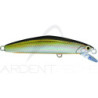 Poisson nageur SMITH F Select 51