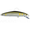 Poisson nageur SMITH F Select 51