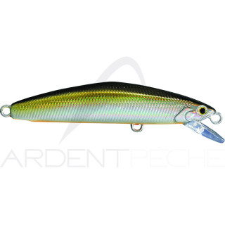 Poisson nageur SMITH F Select 64