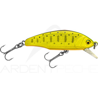 Poisson nageur SMITH D Incite 53