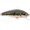 Poisson nageur SMITH D Incite 53