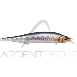 Poisson nageur MEGABASS X80 magnum