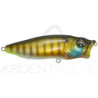 Poisson nageur MEGABASS Pop max