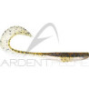X Layer Curly de Megabass 7" - faites craquer les poissons - Ardent Pêche