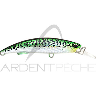 Poisson nageur DUO Rough trail blazin 92