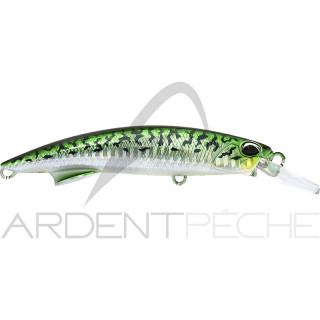 Poisson nageur DUO Rough trail blazin 110