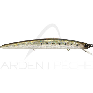 Poisson nageur DUO Tide minnow lance 160 S