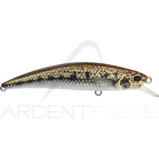 Poisson nageur DUO Spearhead Ryuki 70 F