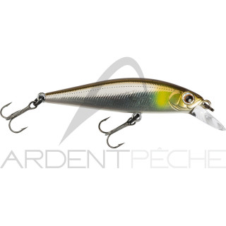 Poisson nageur ZIP BAITS Rigge flat 50 S