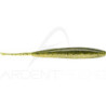 Leurre souple REINS Swamp shad 4