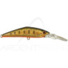 Poisson nageur SMITH D Direct 55