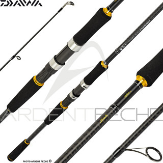 Canne DAIWA Legalis seabass 2020