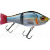 Poisson nageur GUNKI Scunner 135 S Twin