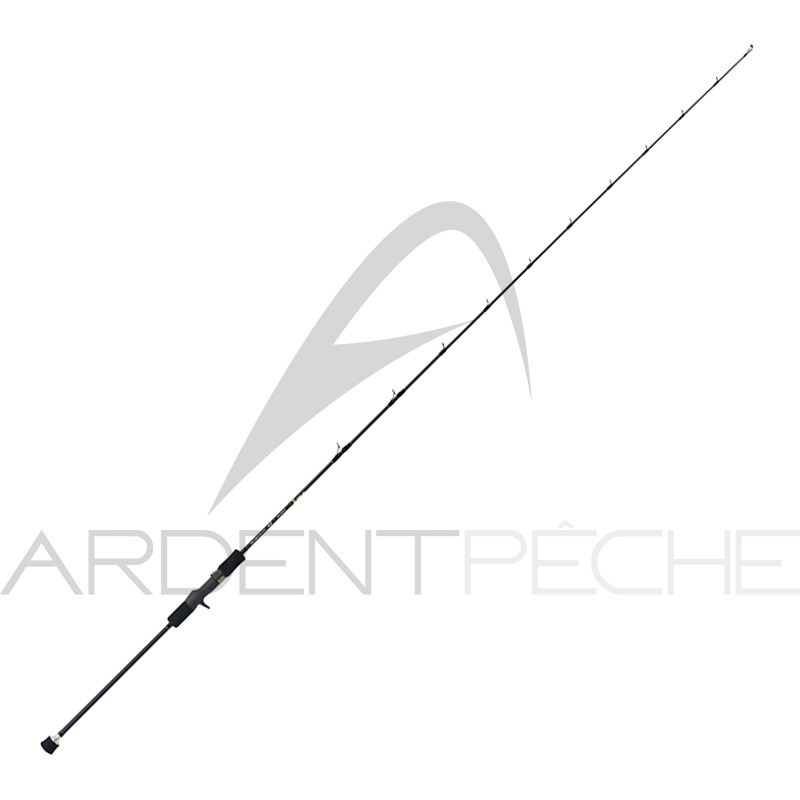 Canne TENRYU Horizon HSL 66 B H