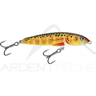 Poisson nageur SALMO Minnow 5 F