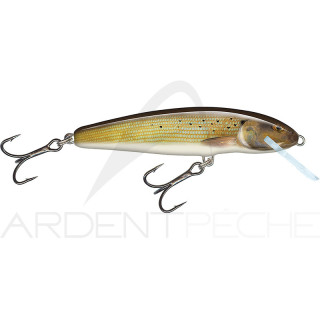 Poisson nageur SALMO Minnow 6 F