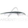 Poisson nageur HALCO Sorcerer 150
