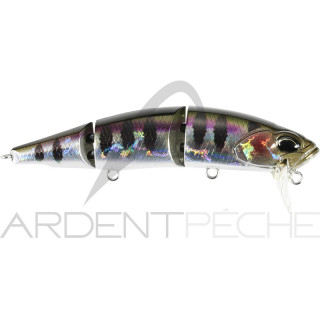 Poisson nageur Rozante perj 95 F