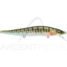 Poisson nageur MEGABASS Vision 110 FW