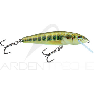 Poisson nageur SALMO Minnow 6 S