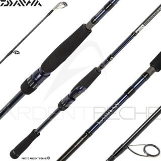 Canne spinning DAIWA Labrax seabass 23