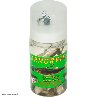 ARMORVIF Pot de 10 Vairons + monture 3g