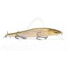 Poisson nageur MEGABASS Great hunting 110
