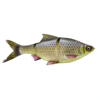 Leurre Souple Savage Gear 3D LT Roach sinking