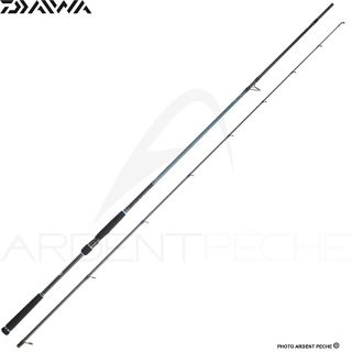 Canne spinning DAIWA Caldia seabass