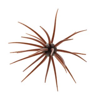 Leurre souple HIDEUP Coike 17mm