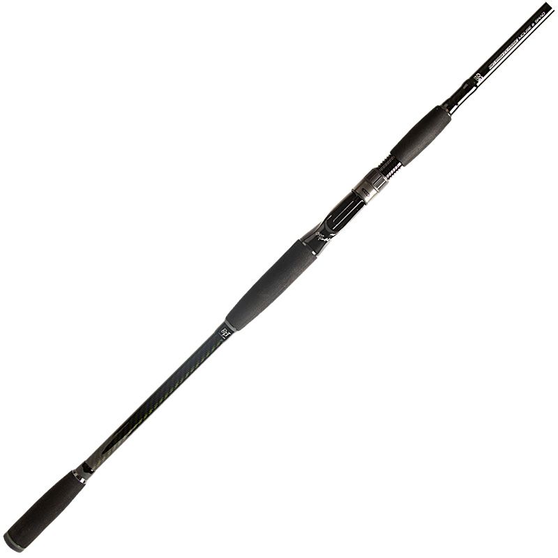 Canne casting BFT 92 Big fish classic 8'6