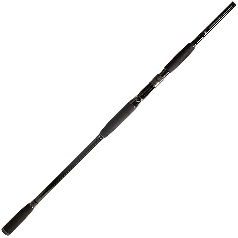 Canne casting BFT 92 Double impact 9'