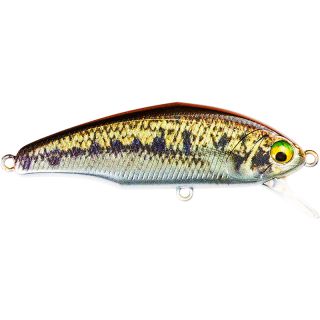 Poisson nageur SMITH D Incite 53