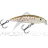 Poisson nageur RAPALA Ultra light minnow 04