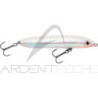 Poisson nageur RAPALA Skitter V 10
