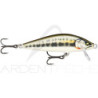 Poisson nageur RAPALA Countdown elite 35