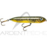 Heddon Super Spook JR Mini - un leurre de surface redoutable - Ardent Pêche