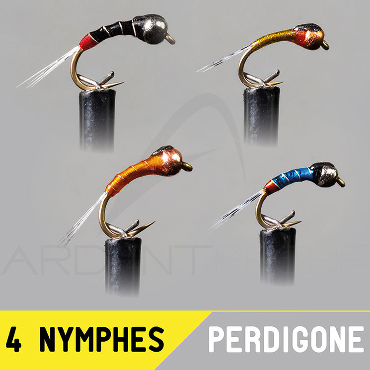Montage nymphe GARBOLINO Perdigone Set x4